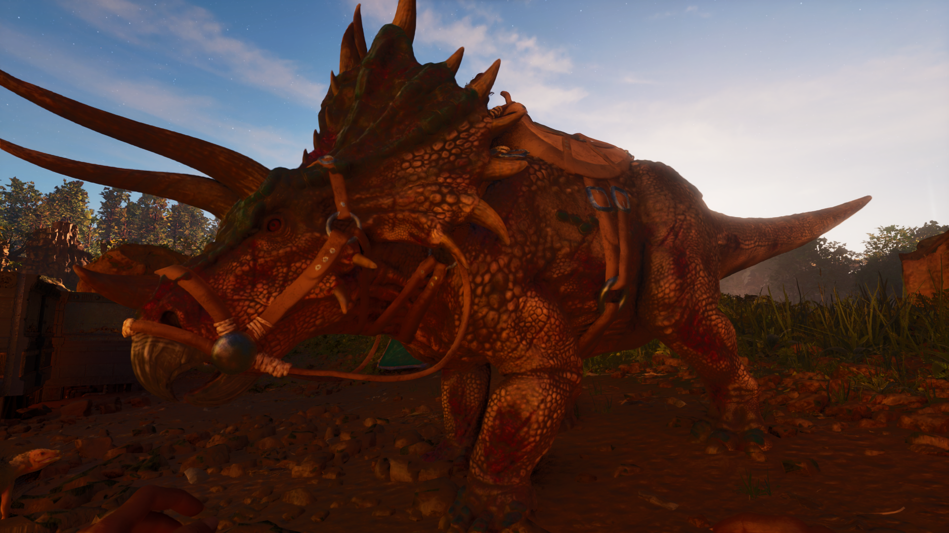 Tricératops dans les plaines